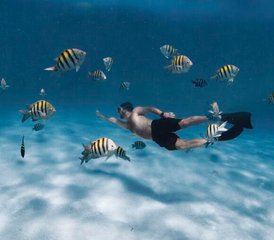 117 Tage Pilates, Yoga und Tauch Retreat in der Riviera Maya, Mexiko - Photo 1