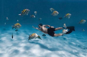  7 Day Pilates, Yoga, and Scuba Diving Retreat in The Riviera Maya, Mexico