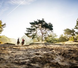 5-Daagse Paardrij- en Trailcombinatie Met Je Eigen Paard Voor Groepen/Individuen, Wateren, Nederland - Photo 4