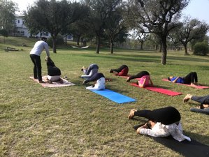 7 Day Yoga, Wellness and Experiential Retreat in Jaipur, India