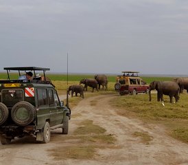10 días de safari épico por la sabana en Masái Mara, Amboseli, el lago Nakuru y Samburu, Kenia - Photo 5