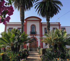 8 Day Beginner-friendly Yoga and Hiking Holiday in Tenerife, Spain with Healthy Food and Beach Walks - Photo 3