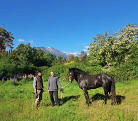 6-Daagse Paardrijvakantie voor gemiddeld tot gevorderd niveau in de Noord-Patagonische Andes, Argentinië - Photo 5