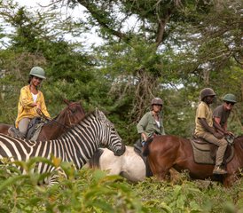 8 días de safari de elefantes en el Kilimanjaro y vacaciones a caballo en Tanzania - Photo 3