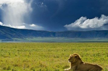 5-Daagse 4-Nachten Fotografische Safari in Tanzania