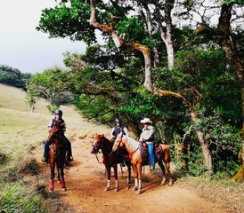 7 Day Hacienda and Cloud Forest Adventure Horse Riding Holiday in Puntarenas, Costa Rica - Photo 3