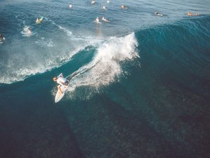 8 días de vacaciones de yoga y campamento de surf en Padang Padang, el paraíso en la tierra en Bali