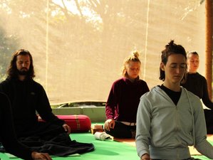 12 Day Meditation Teacher Training in Rishikesh