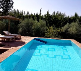 6-Daagse retreat voor vrouwen: de kracht van Ayurveda & Systemisch Werk in Marrakech, Marokko - Photo 3