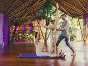 7-Daagse 50-urige Acro Yoga Docentenopleiding in Bali, Indonesië