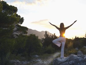 3 Day Mind, Body, and Spirit Yoga Retreat with Tai Chi and QiGong in Northern Ireland