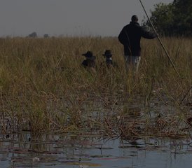 3-Daagse Mokoro Safari in Okavango Delta, Botswana - Photo 4