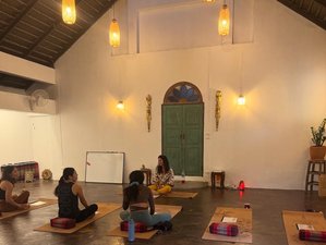 8 Day 50-hour Myofascial Yin Yoga Teacher Training in Chiang Mai, Thailand