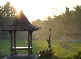 Sayan Retreats & Trips