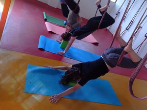 56 Day Advance 500-Hour Yoga Teacher Training in Dharamkot, Himachal Pradesh, India