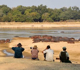 4 Tage Luxus-Safari im South Luangwa-Nationalpark, Sambia - Photo 2