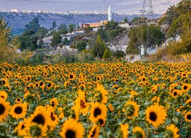 Arequipa Retreats & Trips