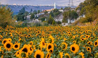 Arequipa Retreats und Reisen