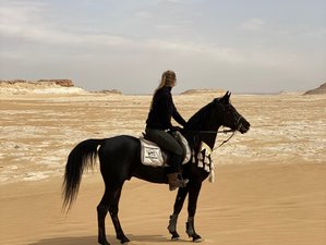 8 Day Sands and Saddles: Horses and Yoga Retreat Tour in Egypt