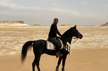 8-Daagse Zand En Zadels: Paarden En Yoga Retreat Tour in Egypte