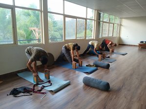 7 jours en retraite de yoga authentique à Mysore, Inde