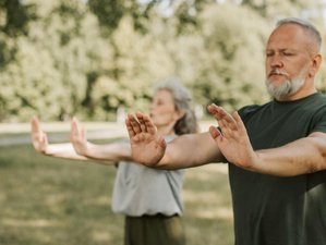 3 Day Recharge, Digital Detox, and Be with Balance More Wellness Retreat in Oefte, Netherlands