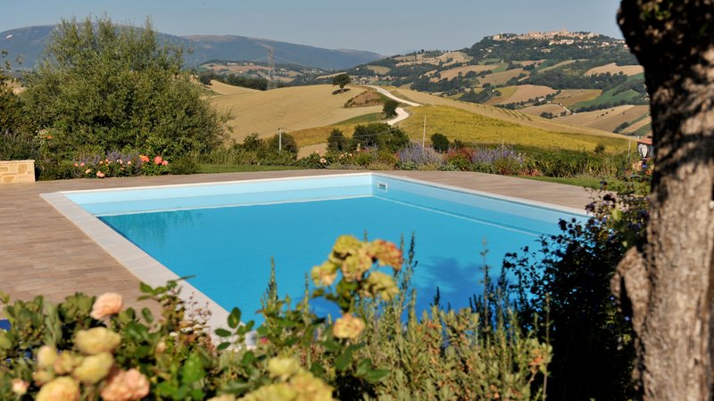 5 Day Wine Tasting and Yoga Retreat in Le Marche, Central Italy