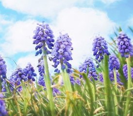 2-Daagse Yoga, Meditatie en Mindfulness Retreat in Gerkesklooster, Friesland - Photo 3