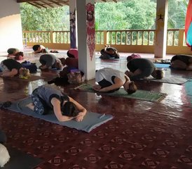 7 Day Yoga Retreat in Goa, India - Photo 4