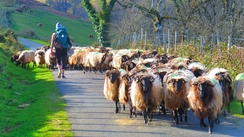 12 Day Walking Meditation Tour Through Basque Country of Southern France and Northern Spain