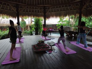 7 Day Holistic Yoga Retreat in Bali, Indonesia
