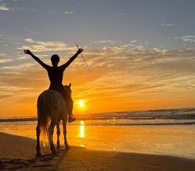8 Day All-Inclusive Horse Riding Holiday With Yoga and Stretching in Oceanfront Riad, Agadir Morocco - Photo 2