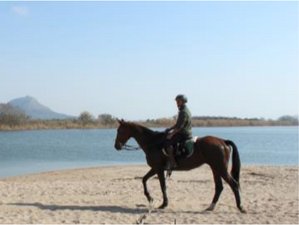 3 Day Discovering the Ampurdan and the Costa Brava Star Horse Riding Holiday in Llabià, Girona