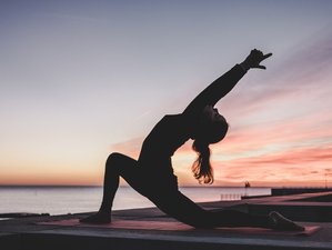 4 Day Yoga, Meditation, and Wellness Retreat in The Hamptons, New York