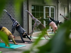 4 Tage Yoga Retreat in den Ardennen von Somme-Leuze, Belgien