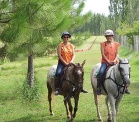 2 Days of Polo Lesson and HorseRiding Holiday in Capilla del Señor, Buenos Aires Province - Photo 2