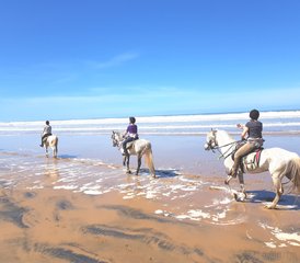 54 jours de découverte équestre à Sidi Kaouki, Maroc - Photo 1