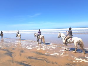 4 Day Discovery of Sidi Kaouki Horse Riding Holiday in Essaouira Area