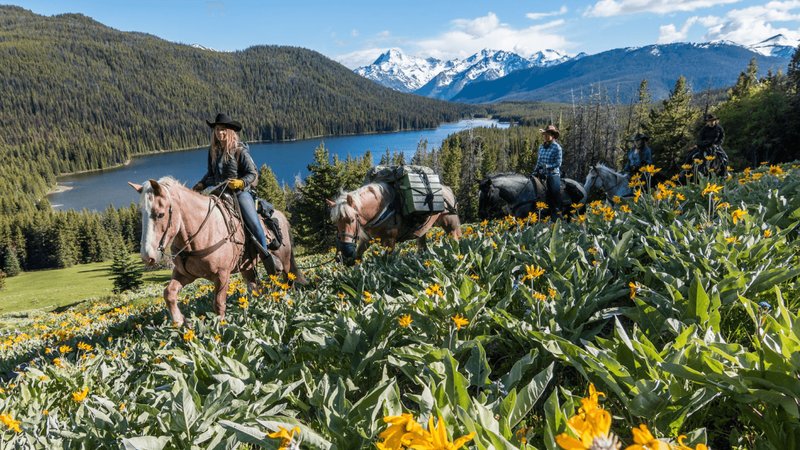 5 Day Grizzly and Black Bear Tracking on Horseback in the South Chilcotin Mountains
