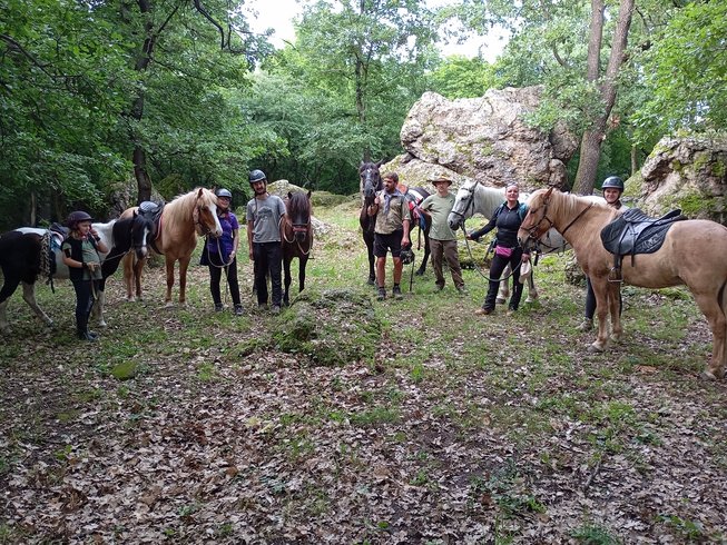 4 jours vacances équestres à Gyöngyössolymos, Hongrie, débutants à confirmés - photo 2