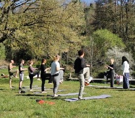 28-Daagse 200-urige Klassieke Indiase Yoga Docentenopleiding in de Champagne-Ardenne, Frankrijk - Photo 5