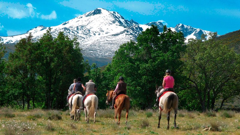 Afbeeldingsresultaat voor pilgrimage to guadalupe on horseback