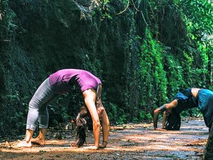 4 Day Yoga For All Holistic Lifestyle Yoga Retreat in Kerala, India