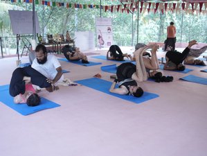 21 Day 200-Hour Hatha, Yin, Ashtanga Vinyasa and Sound Healing Teacher Training in Varkala, India