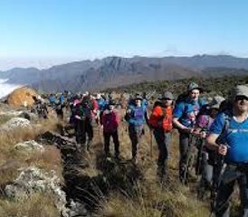 7 días de trekking al Kilimanjaro por la ruta Machame en Tanzania - Photo 3