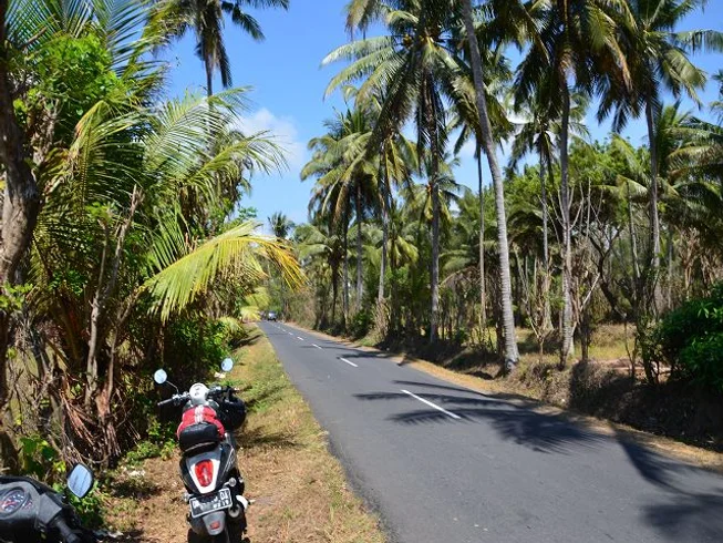 6 Day Golden Enduro Guided Motorcycle Tour in Bali, Indonesia photo 5