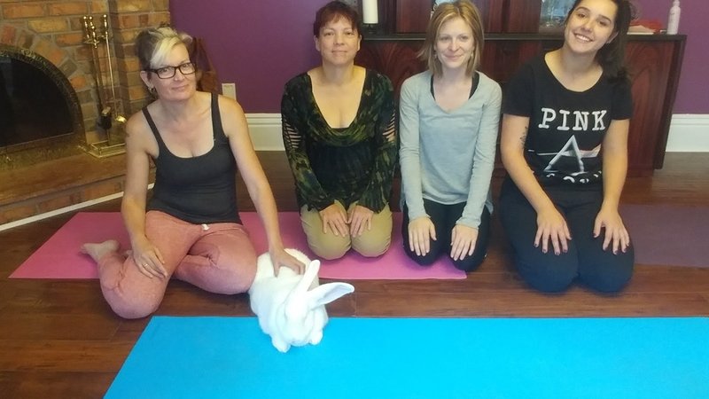 3-Daagse Functionele Yoga Retreat in Burnaby, Canada