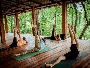 4 Day Yoga, Trekking, Cooking, and Reforestation Retreat in Kandy, Central Province