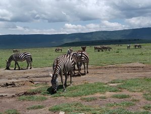 2 Day Ngorongoro Crater Safari and Arusha City Tour