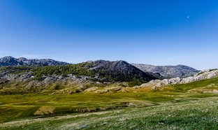 Presjeka Retreats und Reisen
